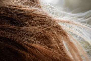 Debunking Common Myths About Hair Loss